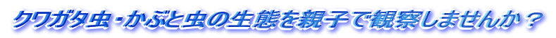 �N���K�^���E���Ԃƒ��̐��Ԃ�e�q�Ŋώ@���܂��񂩁H
