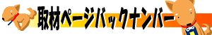 ������Ƃ��Ύ�ރo�b�N�i���o�[�̓R�`��